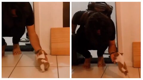 Cute Dog Funny reaction after seeing his Owner after month - Goodvibes11