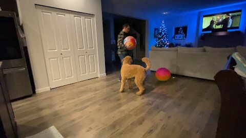 Our Bella