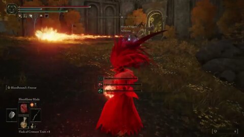 Elden Ring Boss Invasion!!!