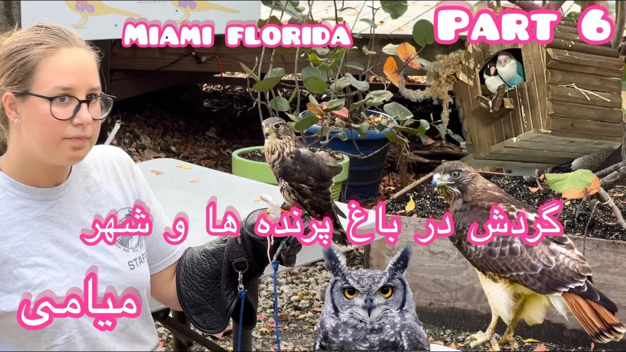 میامی فلوریدا قسمت ششم-Miami Florida part 6🇺🇸