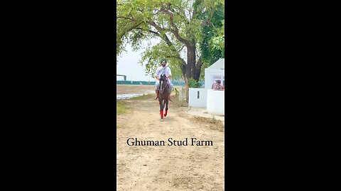 Ghuman Farmz