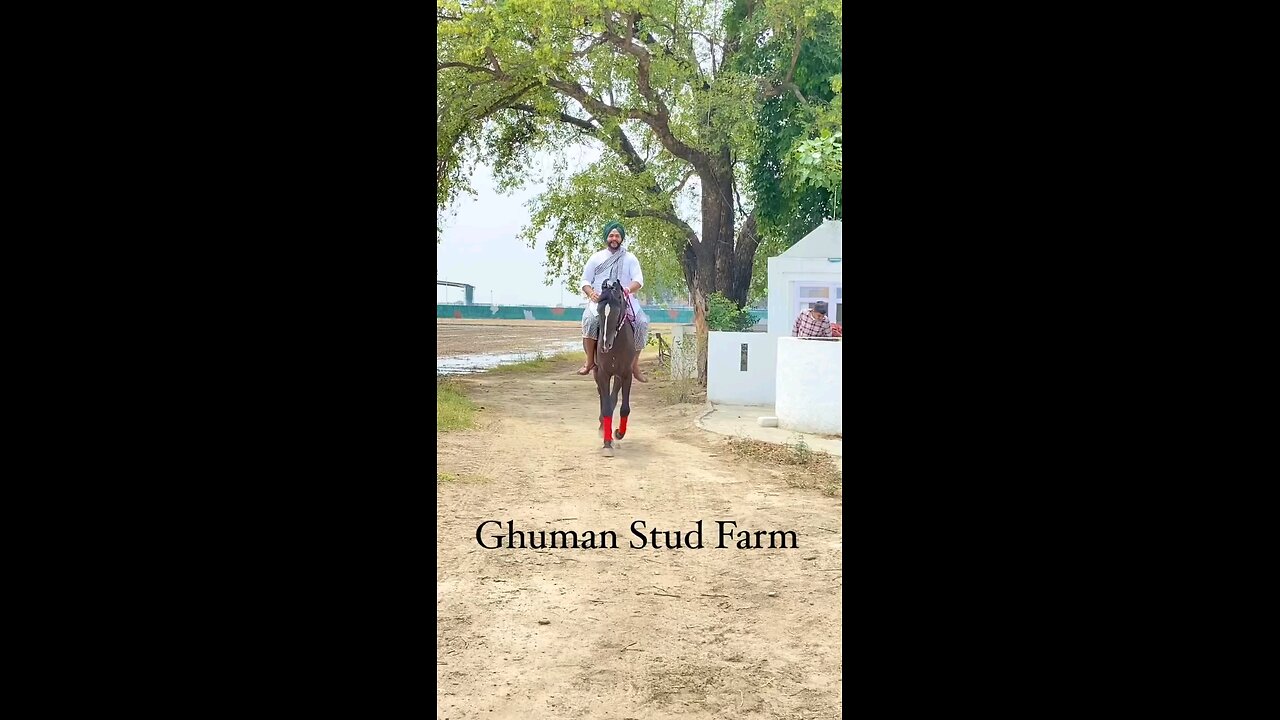 Ghuman Farmz