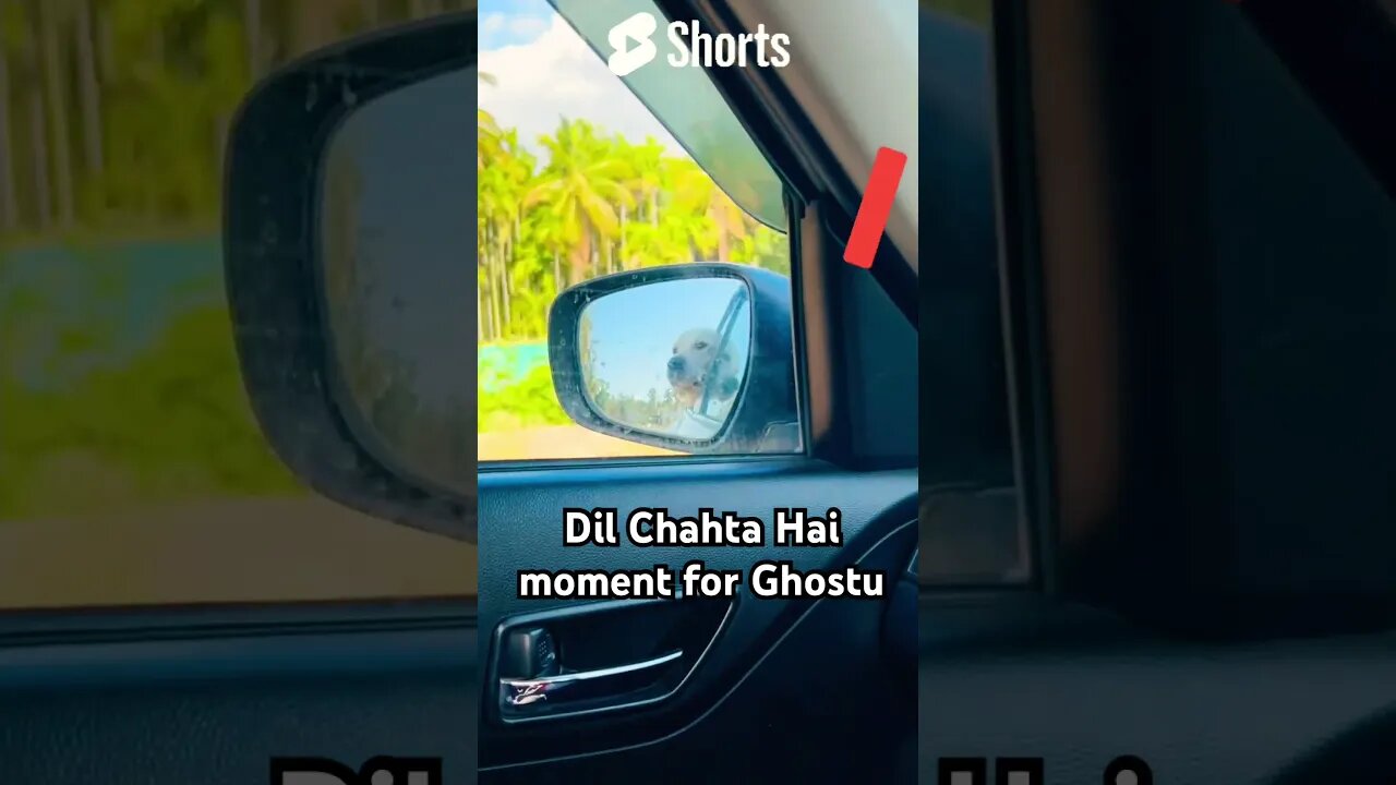 Dil Chahta Hai !