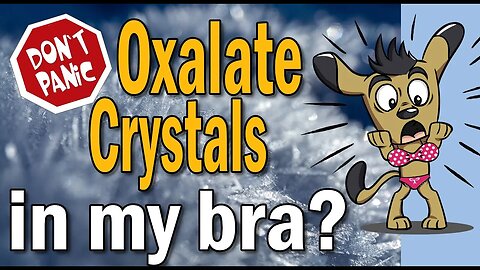 Oxalate Dumping? Oxalate Crystals Coming Through My Skin? This Is Like Some Weird Alien Movie!