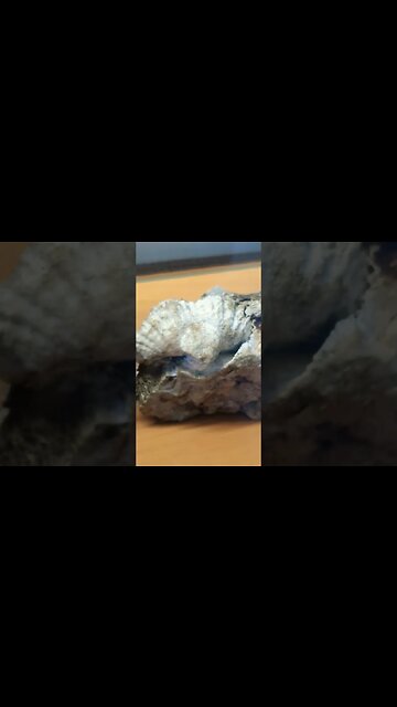 By Design or Random Chance?