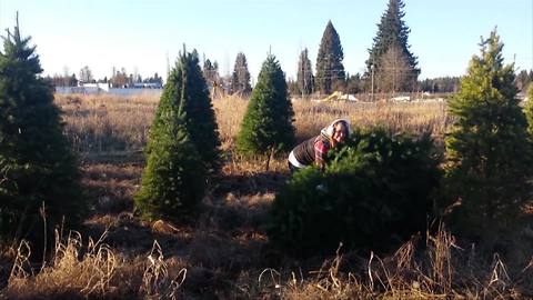 When Christmas Tree Attacks