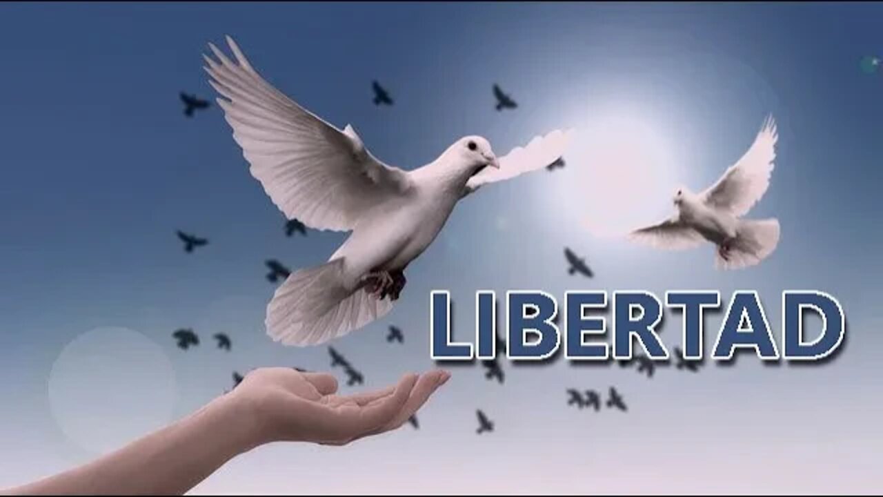 🌺Mensaje y canción de LIBERTAD🌺 Coro de esclavos de Nabucco de Verdi 💖