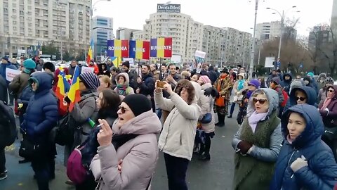 Ziua neutralității - Diana Șoșoacă