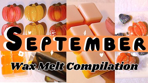 ✨September 2024 Wax Melt Compilation✨