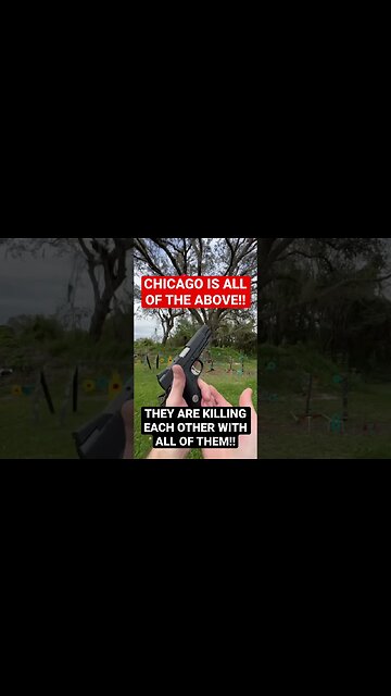 If Chicago was a gun! #shorts #guns #chicago