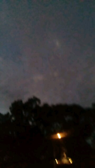 Correllas Fly Over Gumbaynggirr Country at Sunset.