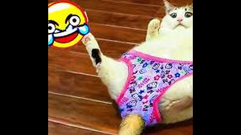 FUNNY ANIMALS 2024 🤣🤣🤣🤣-(the end of the video es awsome)