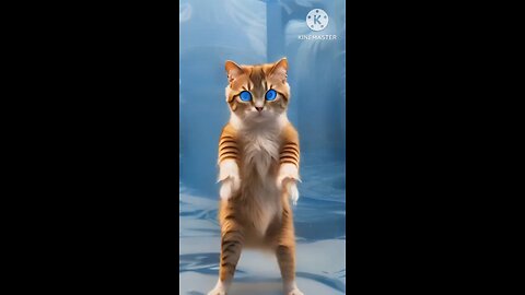 ep2🥰 Dancing cat❤️#cat #catlover