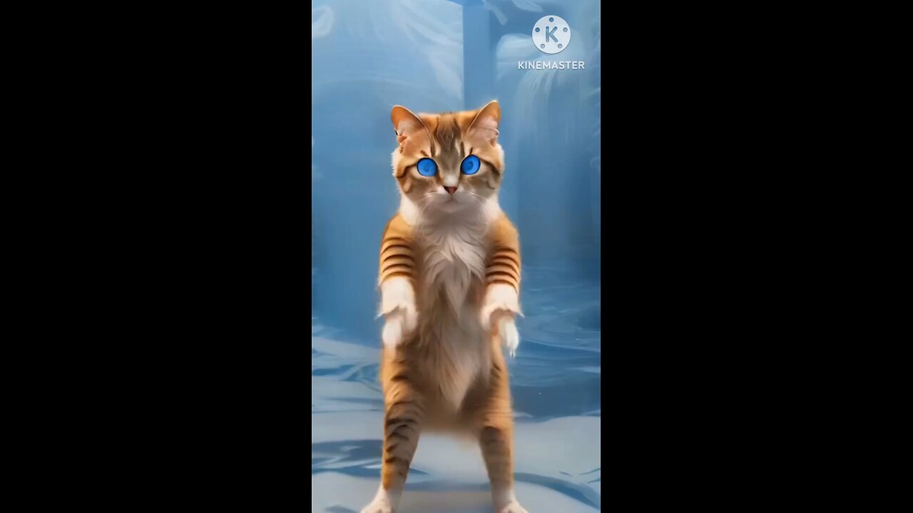 ep2🥰 Dancing cat❤️#cat #catlover