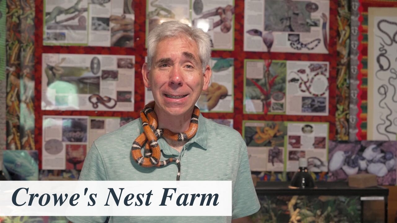 Discover Austin: Crowe's Nest Farm - Episode 119