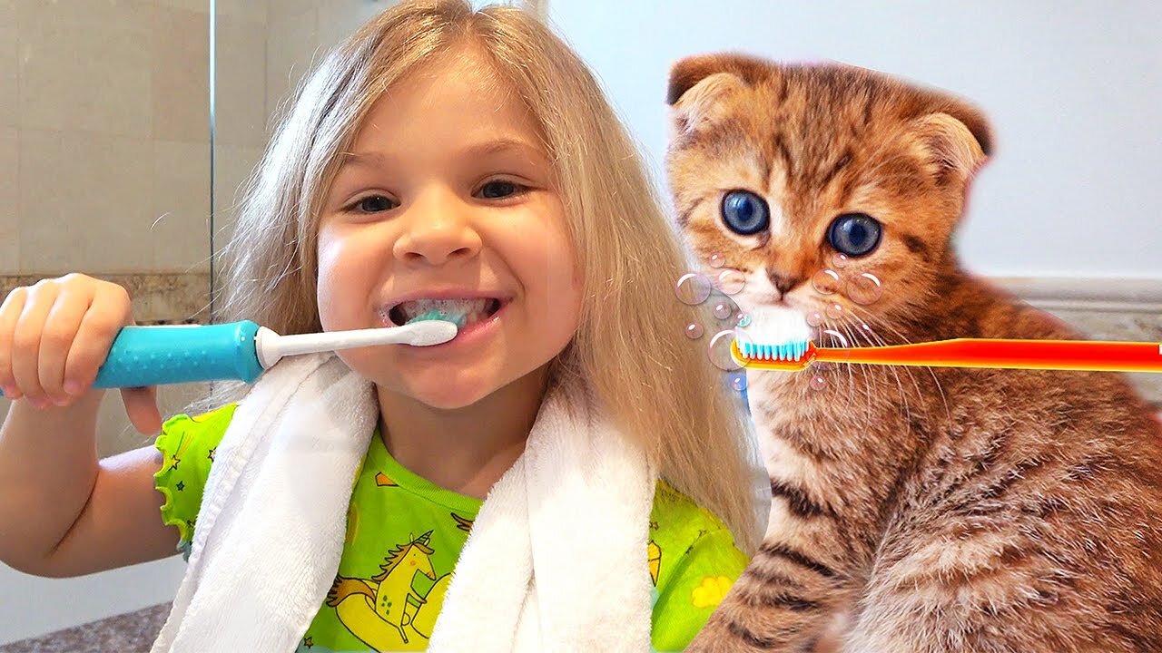 Funny And Cute Cat'S