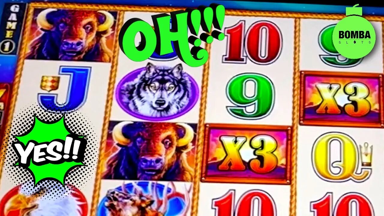 BUFFALO STRIKE!!! #LasVegas #Casino #SlotMachine