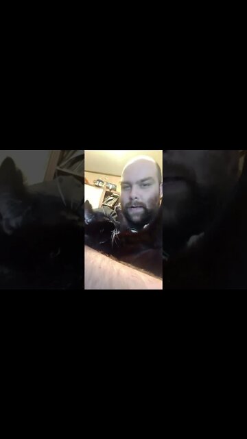 A kitty's ultimate trust #shorts #shortsfeed #shortsvideo #youtubeshorts #catvideos