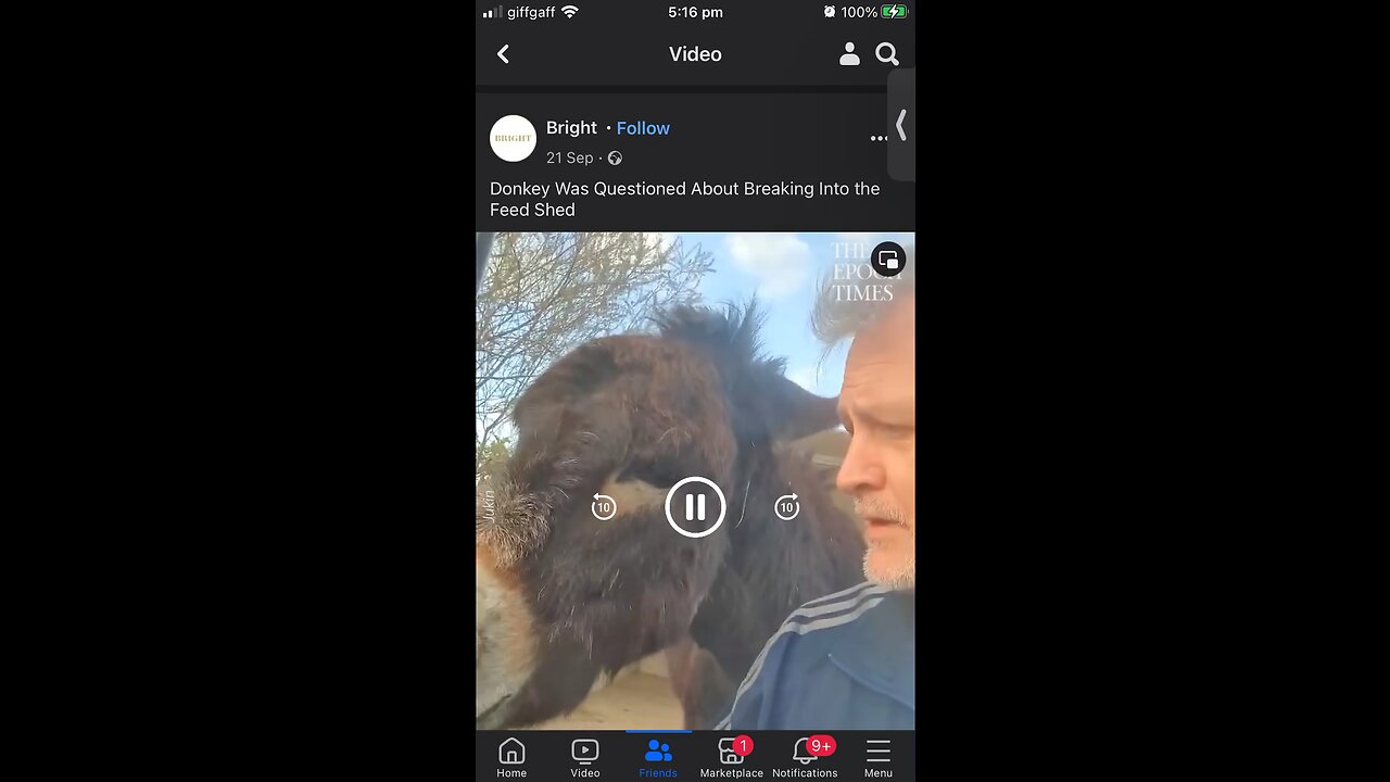 Man and his Donkey 🤣🤣🤣♥️👍