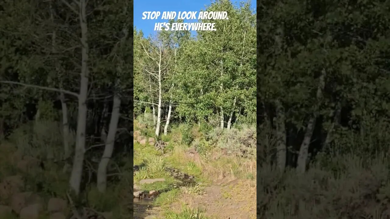 Stop and look around. He's everywhere.