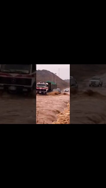 ट्रक की वजह से ठीक हो गया ලොරිය නිසා හොඳට ගියා It went well because of the truck #lorry #car #shorts