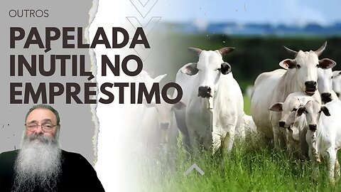 BANCOS decidem EXIGIR papelada ESG para EMPRESTAR DINHEIRO para FRIGORÍFICO encarecendo a SUA CARNE