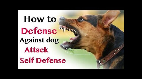 Best self defense against dog attack