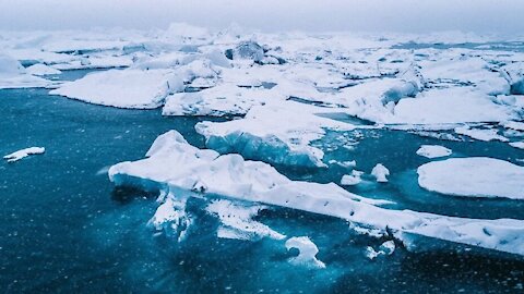 How to Survive Naked in the Arctic