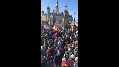 Maxime Bernier Freedom Convoy 2022 Ottawa Day 1