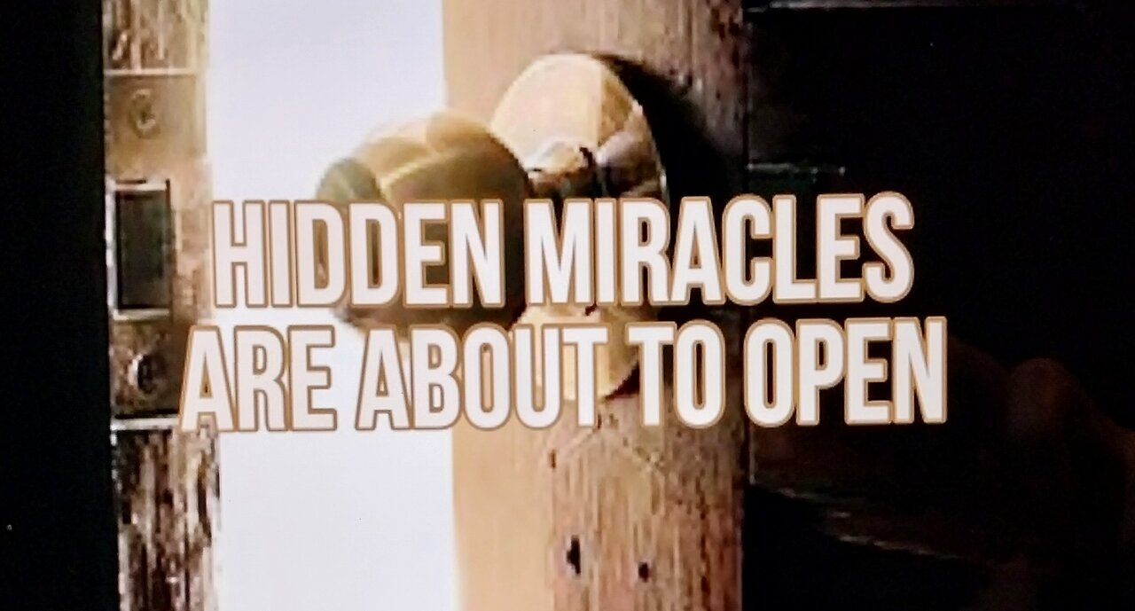 Hidden Miracles Are About to Open 03.13.2022