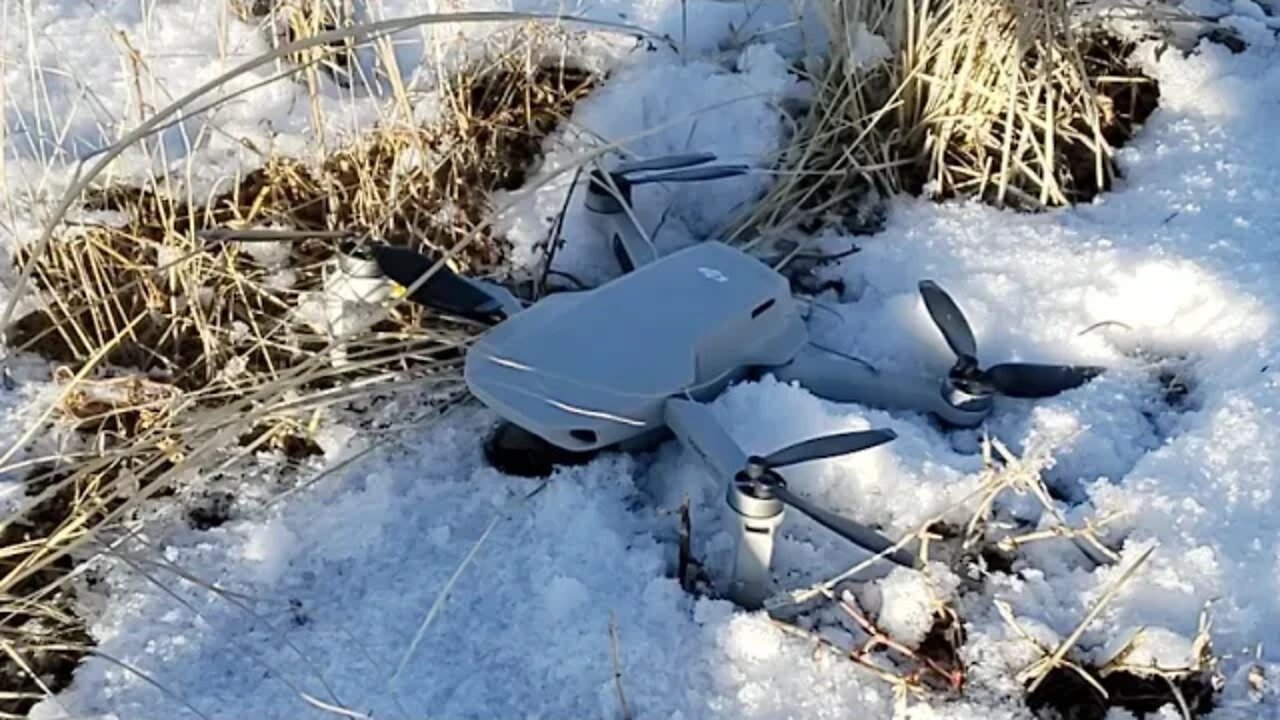 Mysterious Forces Pulled Mavic Mini Down From Flight, Live