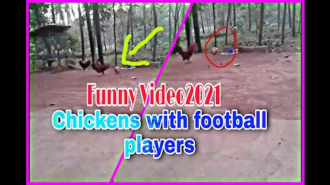 Chickens with football players😂😂😂