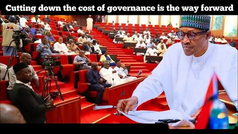 Cutting down the cost of governance is the way forward