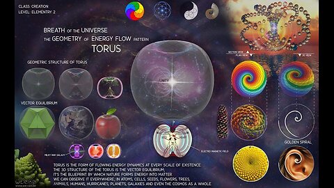 Torus Field In Nature. Adam & Eve, Noah’s Ark.