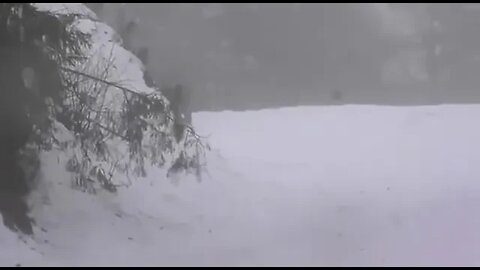 Bigfoot Caught On Camera