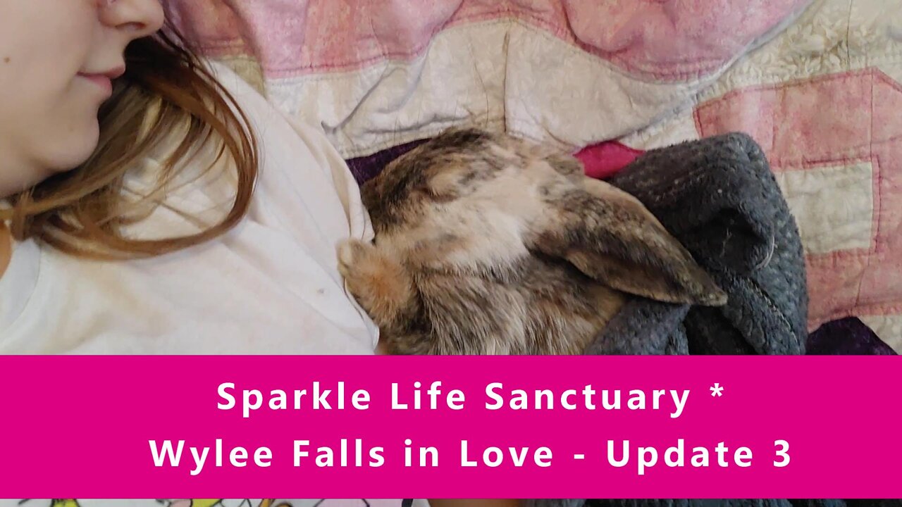 Wylee Falls in Love - Update #3