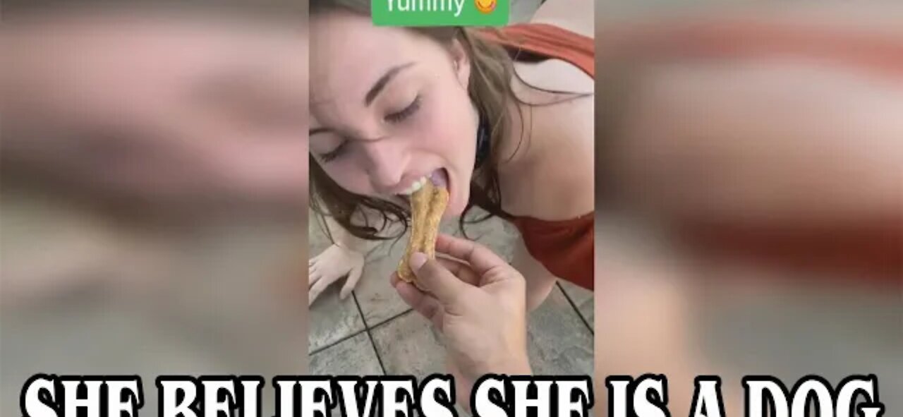 Tik tok Yourpuppygirljenna Makes Millions Pretending to be a dog nice dog