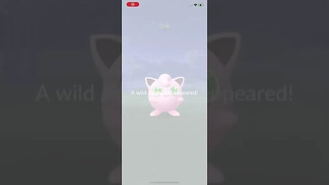 Shiny jigglypuff