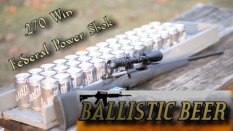 Beer Ballistics #12 .270 Winchester Soft Point