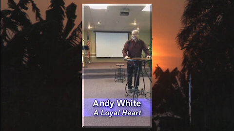 Andy White: A Loyal Heart