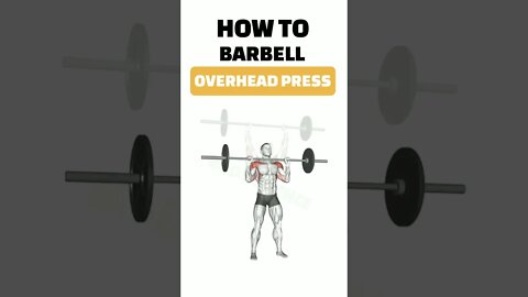 How To BARBELL OVERHEAD PRESS #short #shorts #shortvideo #ytshorts #fitness #gym