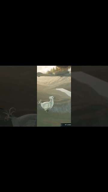 #hogwartslegacy #glitch #fail #clip