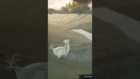 #hogwartslegacy #glitch #fail #clip