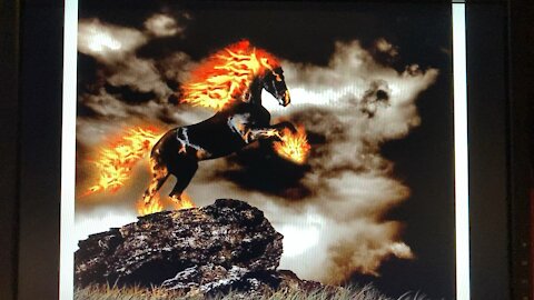 Call to Action! January 6 in Washington D.C.