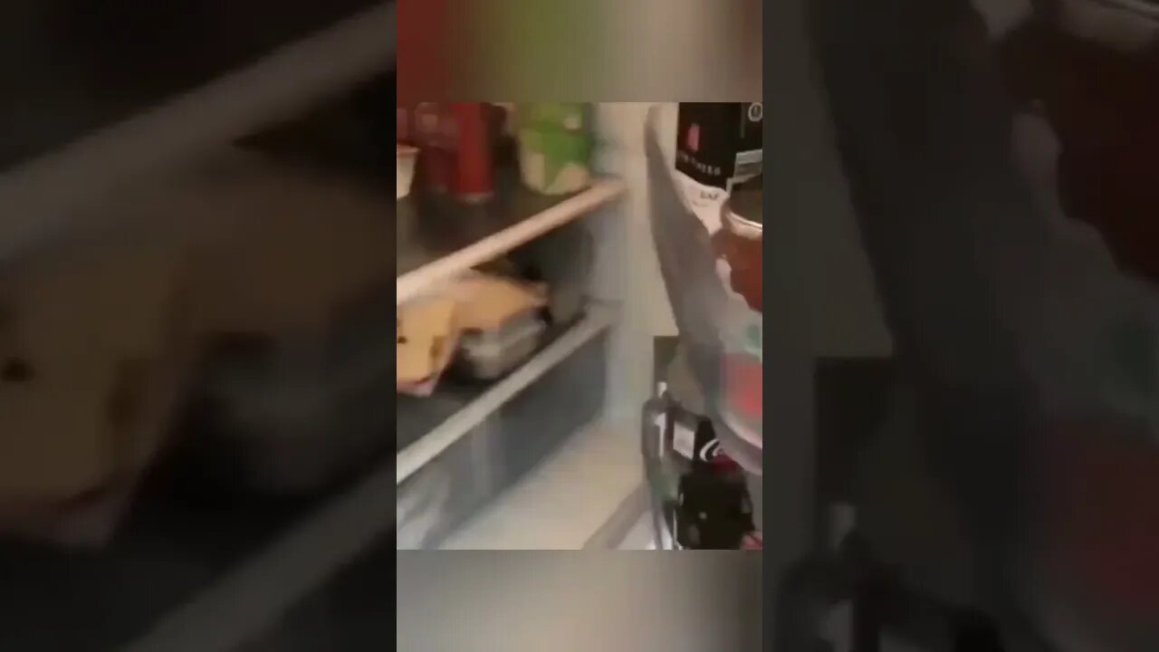 “What are you doing?” 🐶