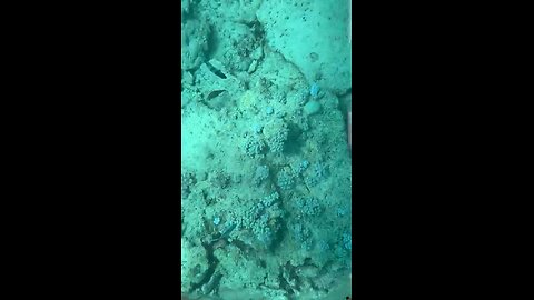 under water seen