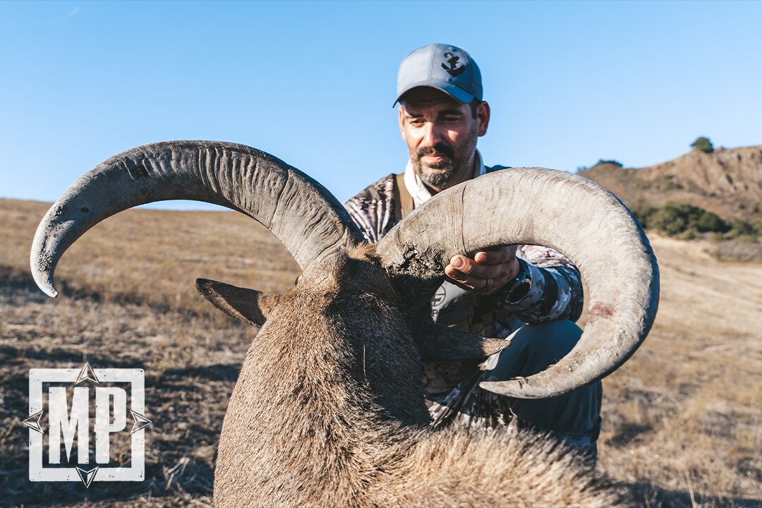 Chasing Giant Aoudad in California | Mark V. Peterson Hunting