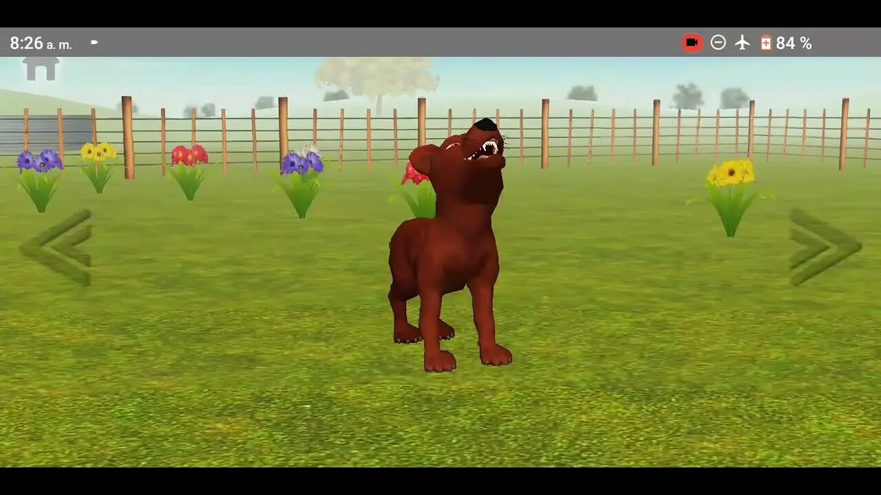 ¡Animales de la granja bailan de forma divertida!