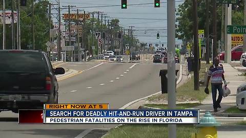 Police search for driver who hit, killed woman on Nebraska Avenue in Tampa