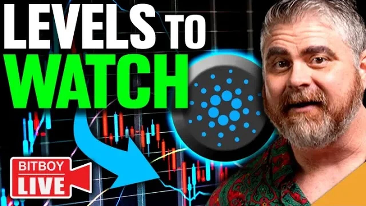 $2.5 BILLION Cardano Activity! (CRUCIAL Bitcoin Levels to Watch)